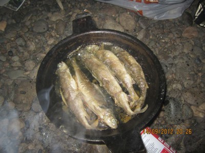 IMG_0655.JPG
