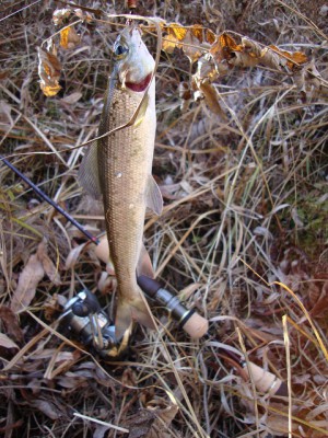 DSC01286.JPG