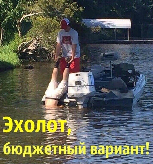 i.jpg