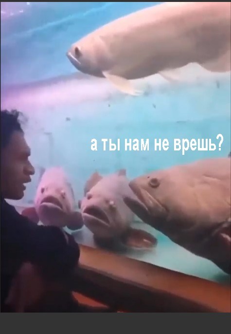 tmp-рыбы3.jpg