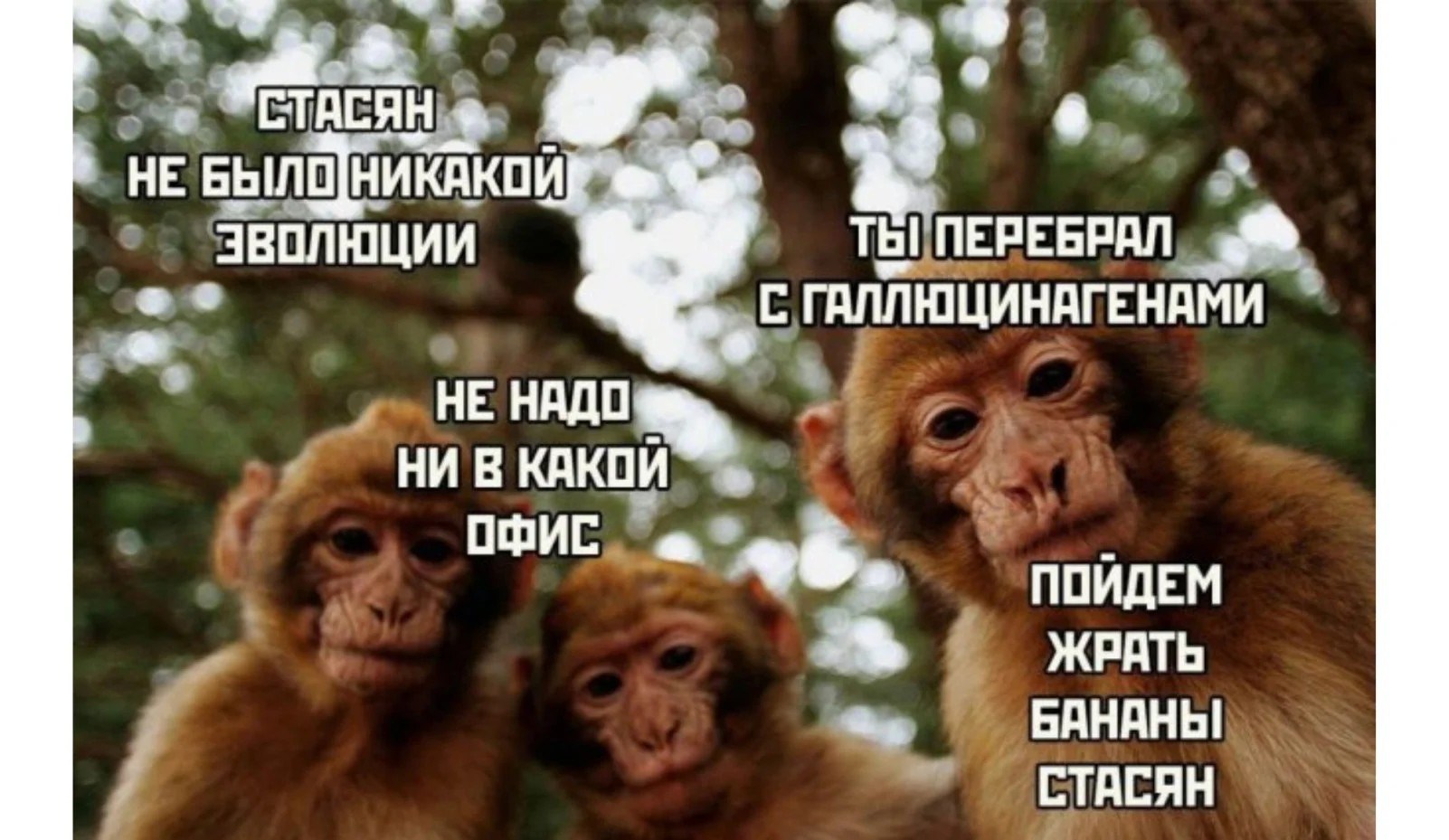 tmp-стасянImage1.jpg