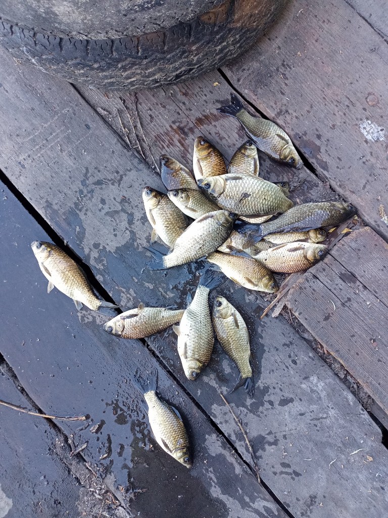IMG20230615202616.jpg