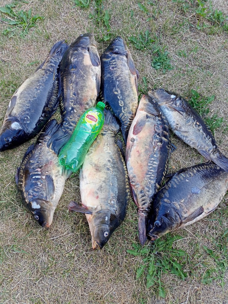 IMG20230617195139.jpg