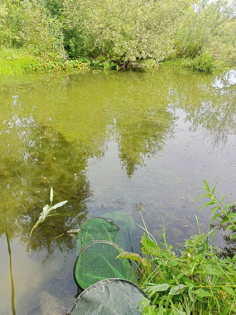 IMG20230827123212.jpg