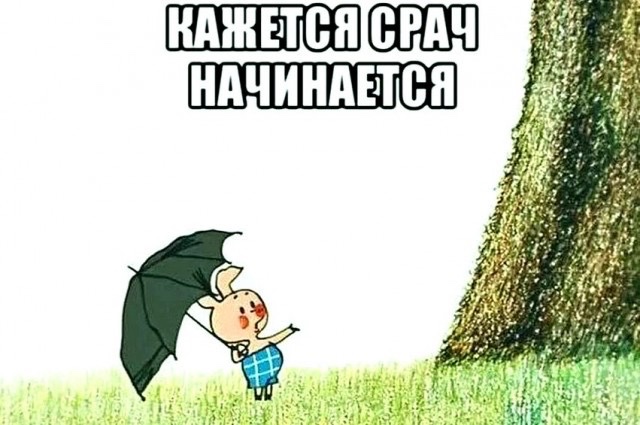 IMG_6921.jpeg