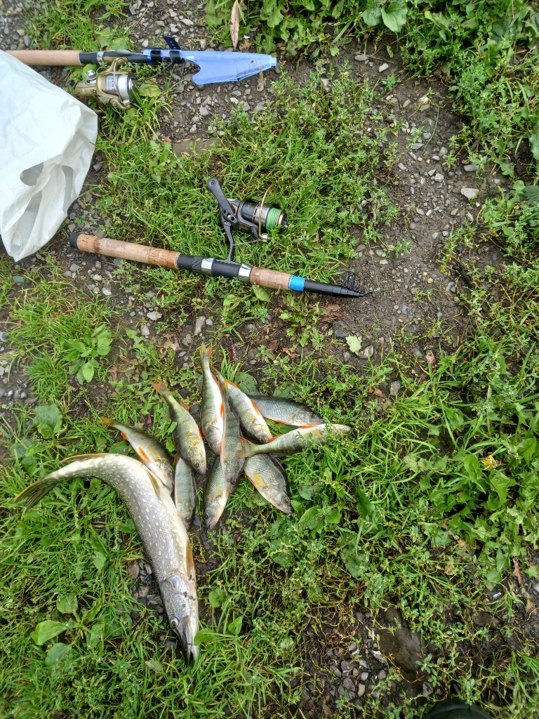 20230905_104402.jpg