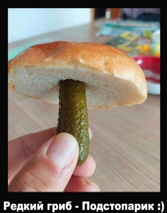 РЕДКИЙ ГРИБ.jpg
