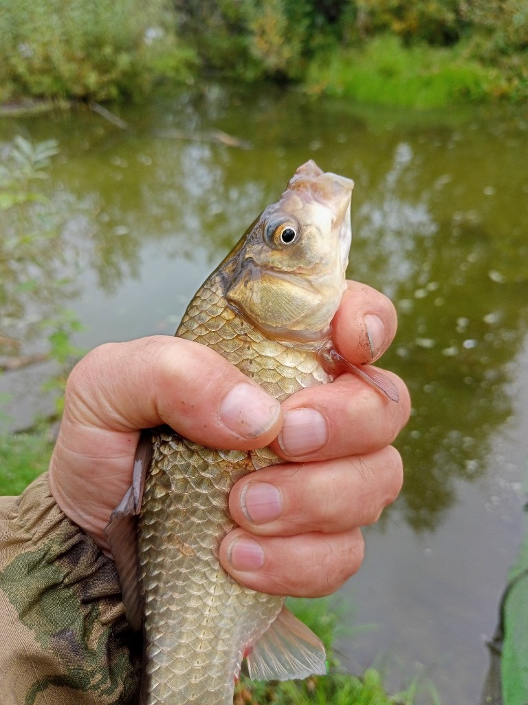IMG20230909100853.jpg