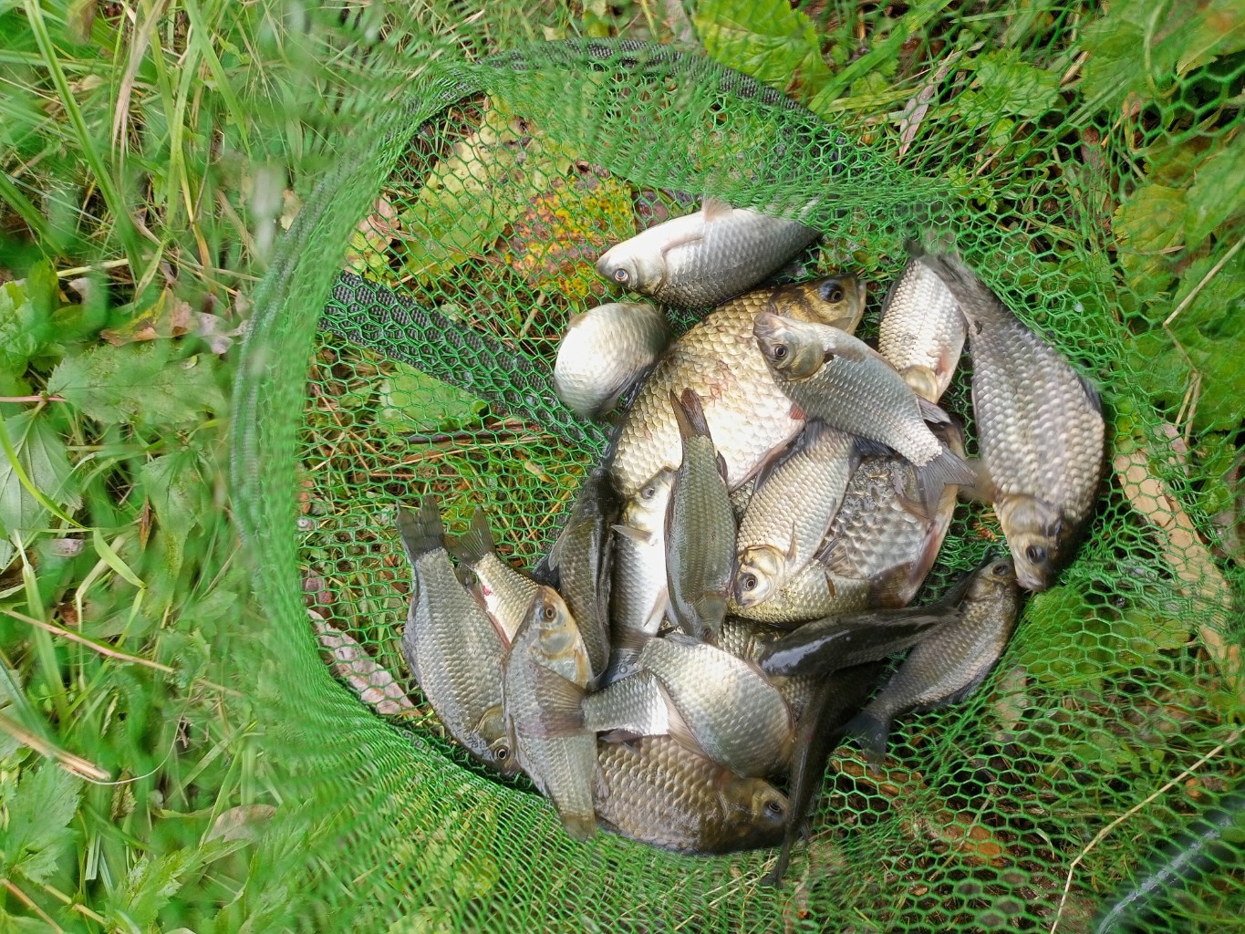 IMG20230909102257.jpg