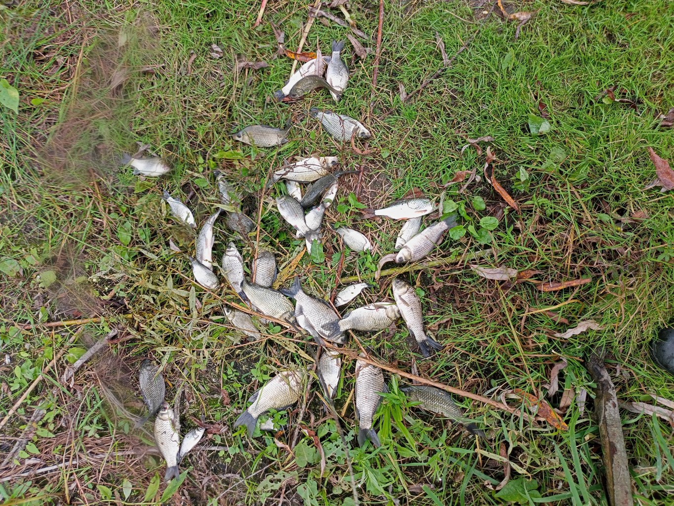IMG20230916132608.jpg