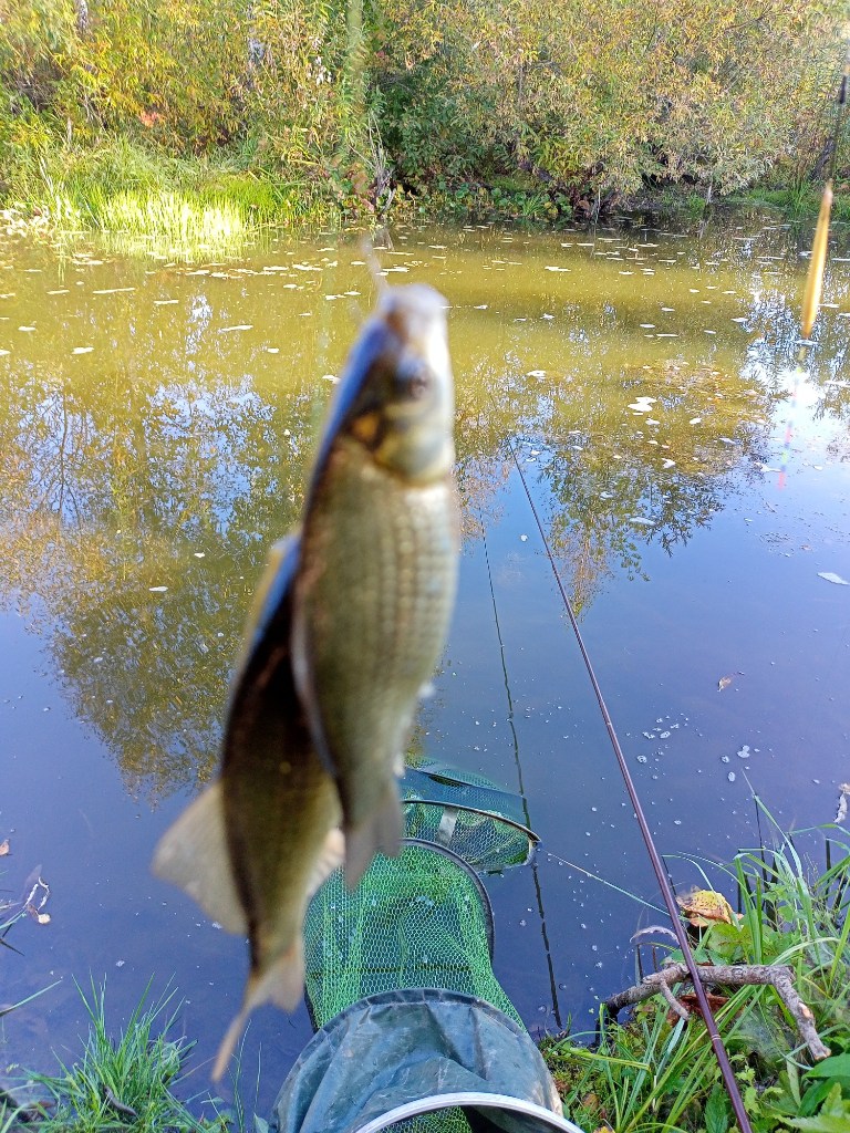 IMG20230917092416.jpg