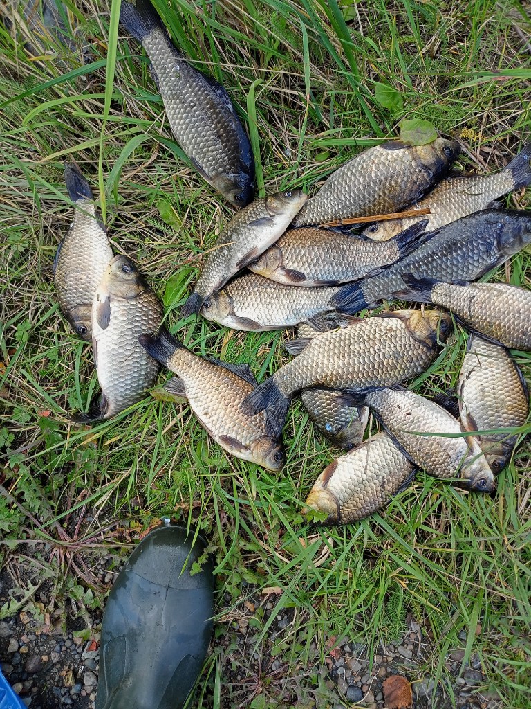 IMG20230917145619.jpg