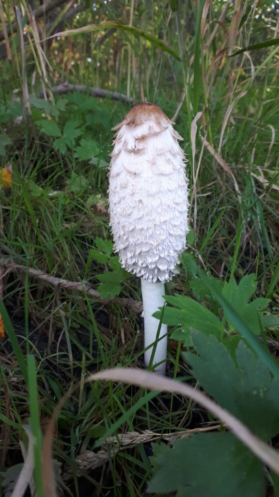 WhatsApp Image 2023-09-18 at 20.03.32.jpeg