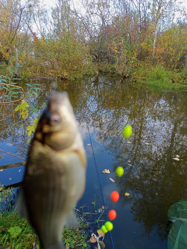 IMG20230930103513.jpg