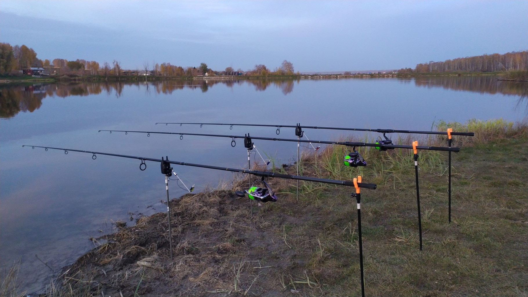 IMG-20231005-WA0015.jpeg