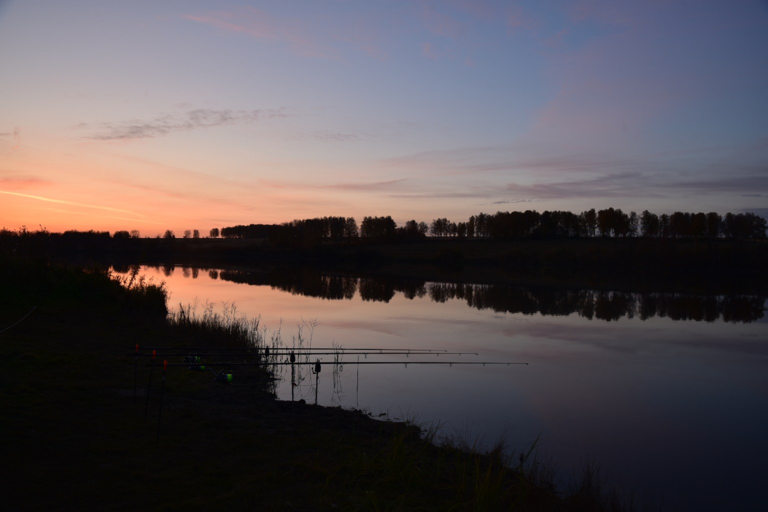 DSC_7619.JPG