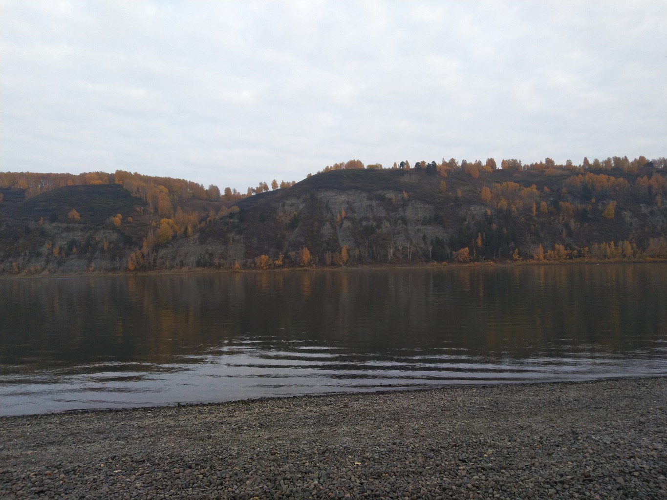IMG_20231007_081310.jpg