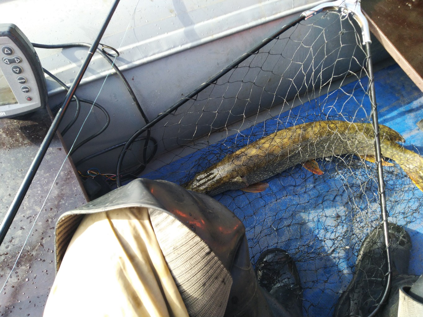 IMG_20231007_115825.jpg