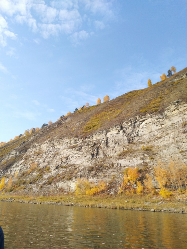 IMG_20231007_121950.jpg