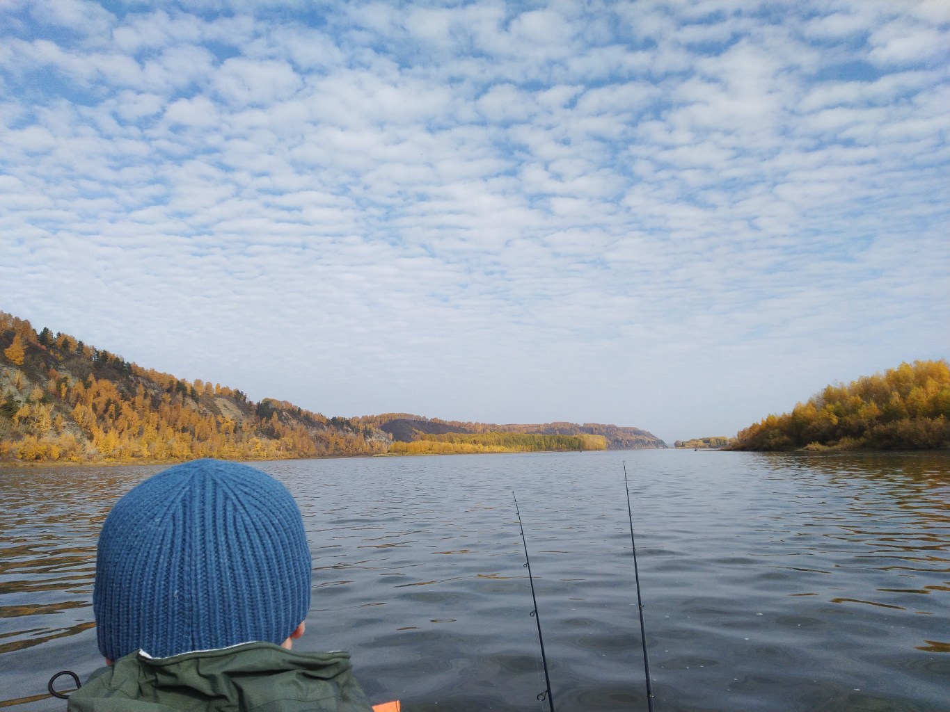 IMG_20231007_134922.jpg