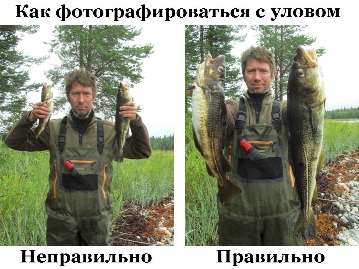 1644962569_39-fikiwiki-com-p-prikolnie-kartinki-pro-ribalku-i-ribakov-45.jpg