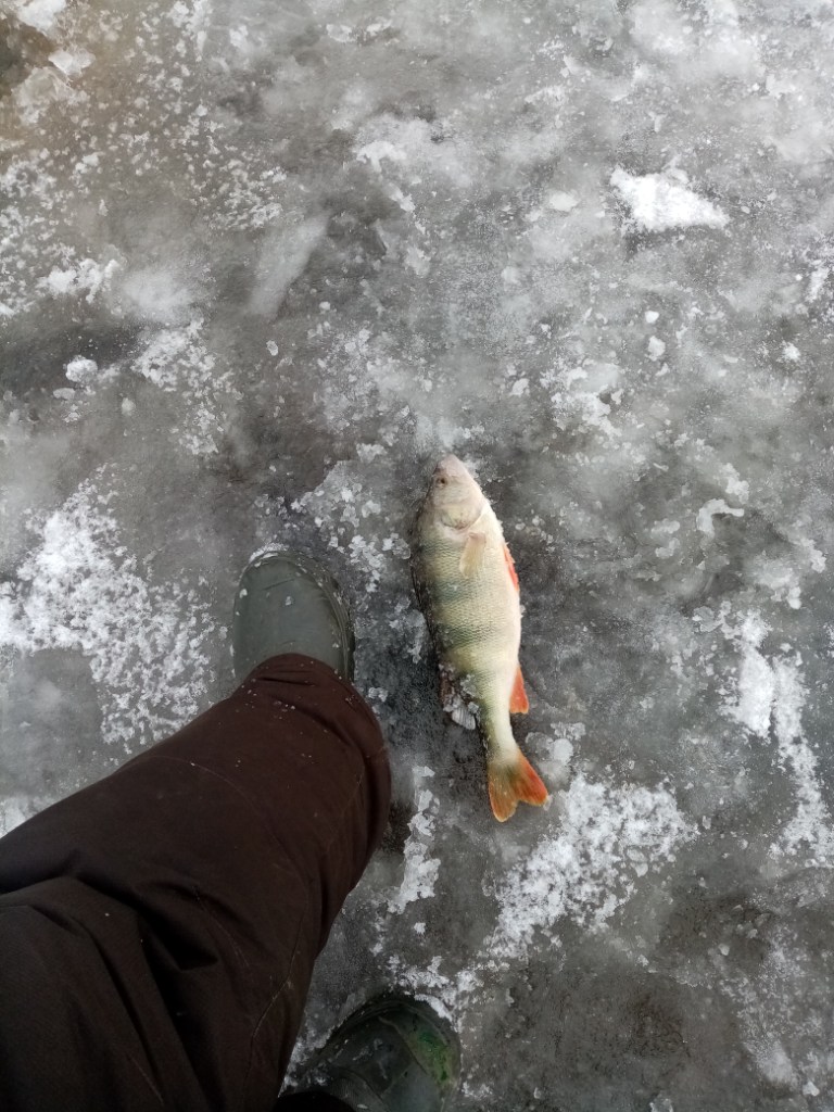IMG_20231123_142547.jpg