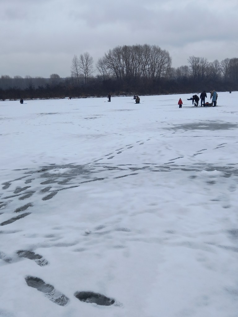 20231125_134928.jpg