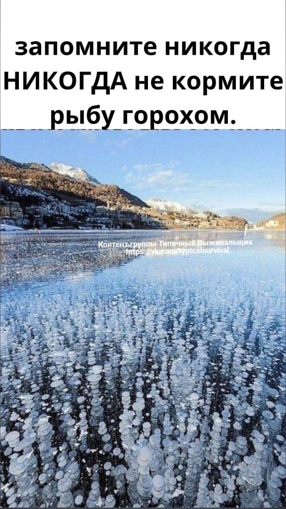 9O4aSM1DCRc.jpg