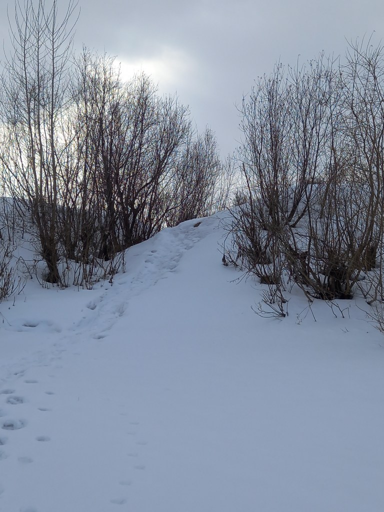 20240320_162741.jpg