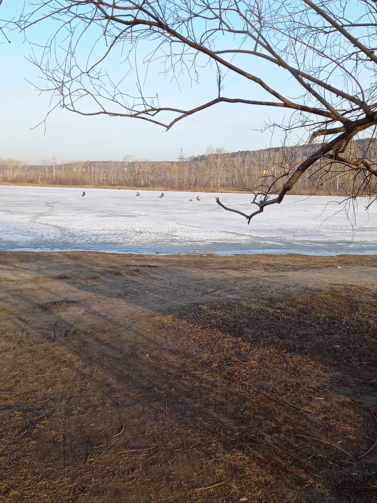 20240409_073911.jpg