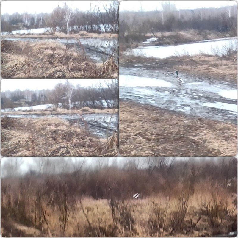 IMG_20240414_164002_DRO_Fotor_Collage.jpg