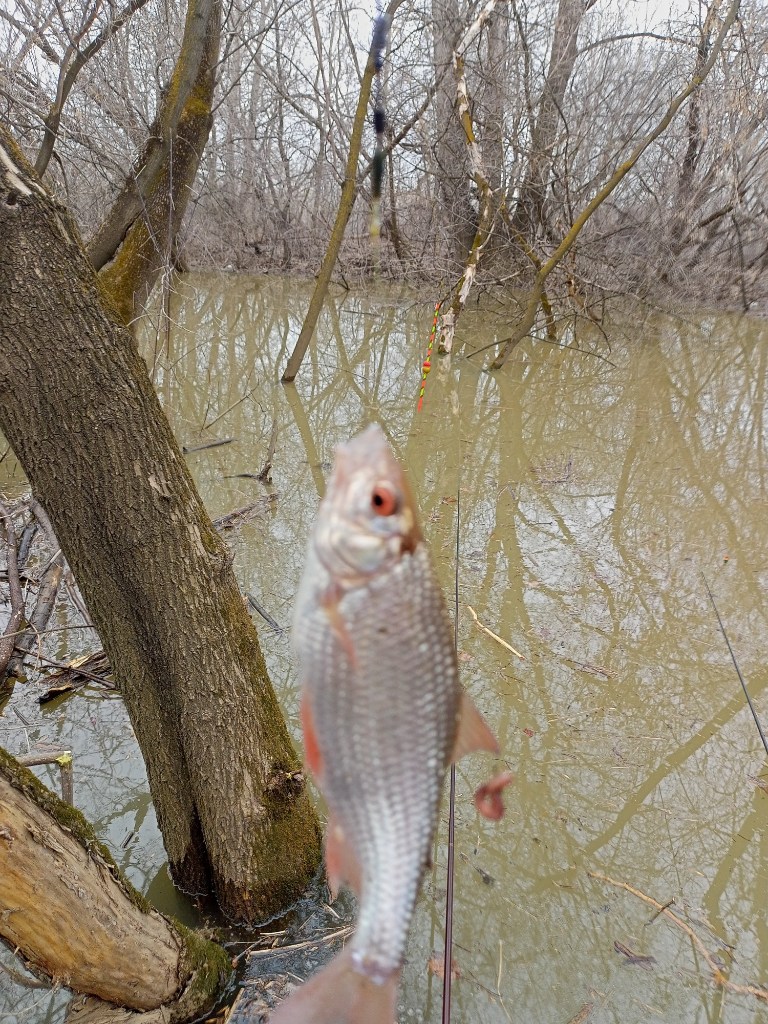 IMG20240421123337.jpg