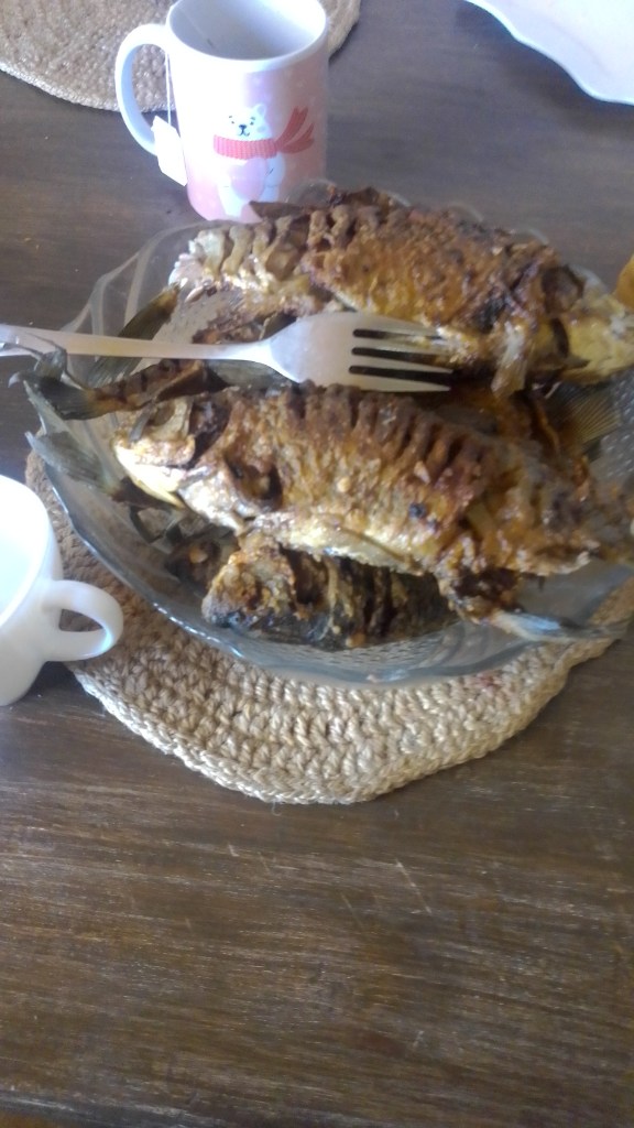 IMG-20240501-WA0013.jpeg