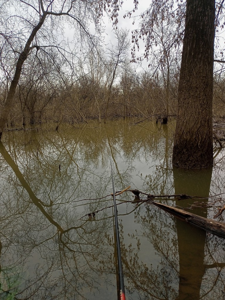 IMG20240505110637.jpg