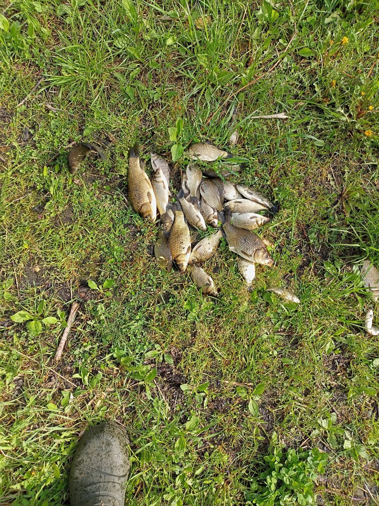 IMG20240525092000.jpg