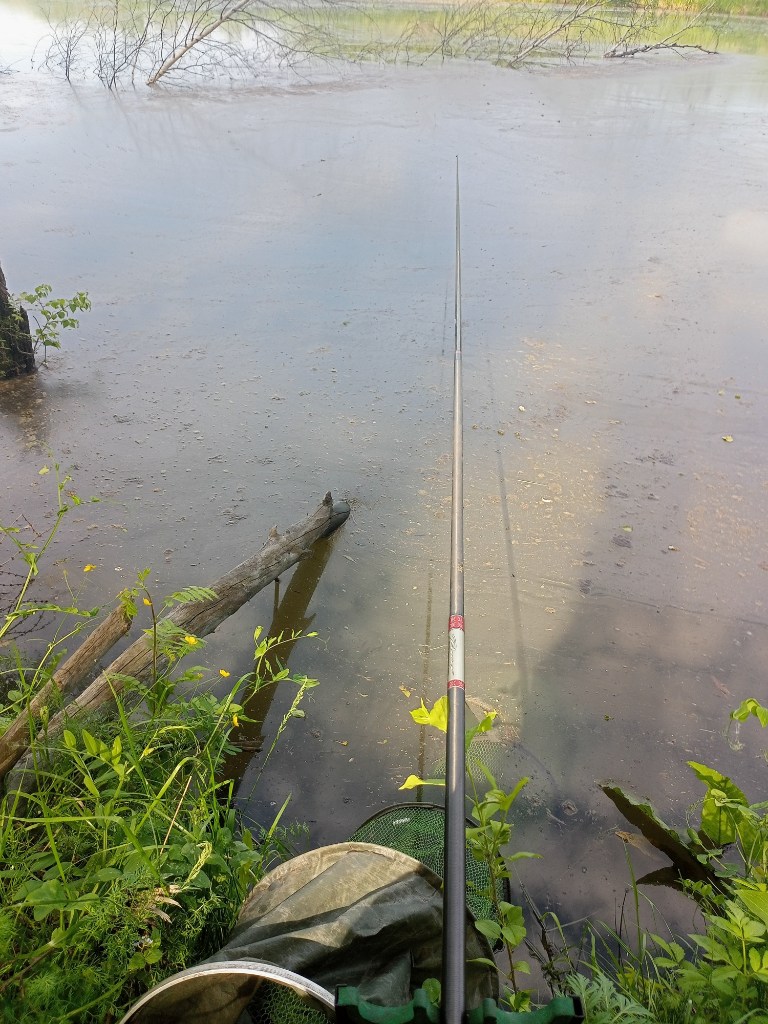 IMG20240612102921.jpg