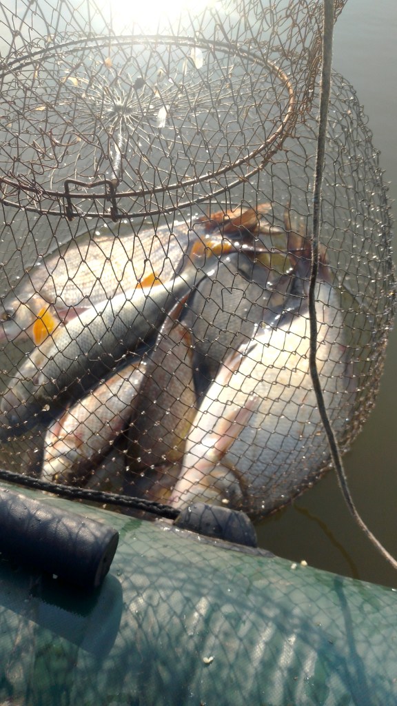 IMG-20240616-WA0000.jpeg