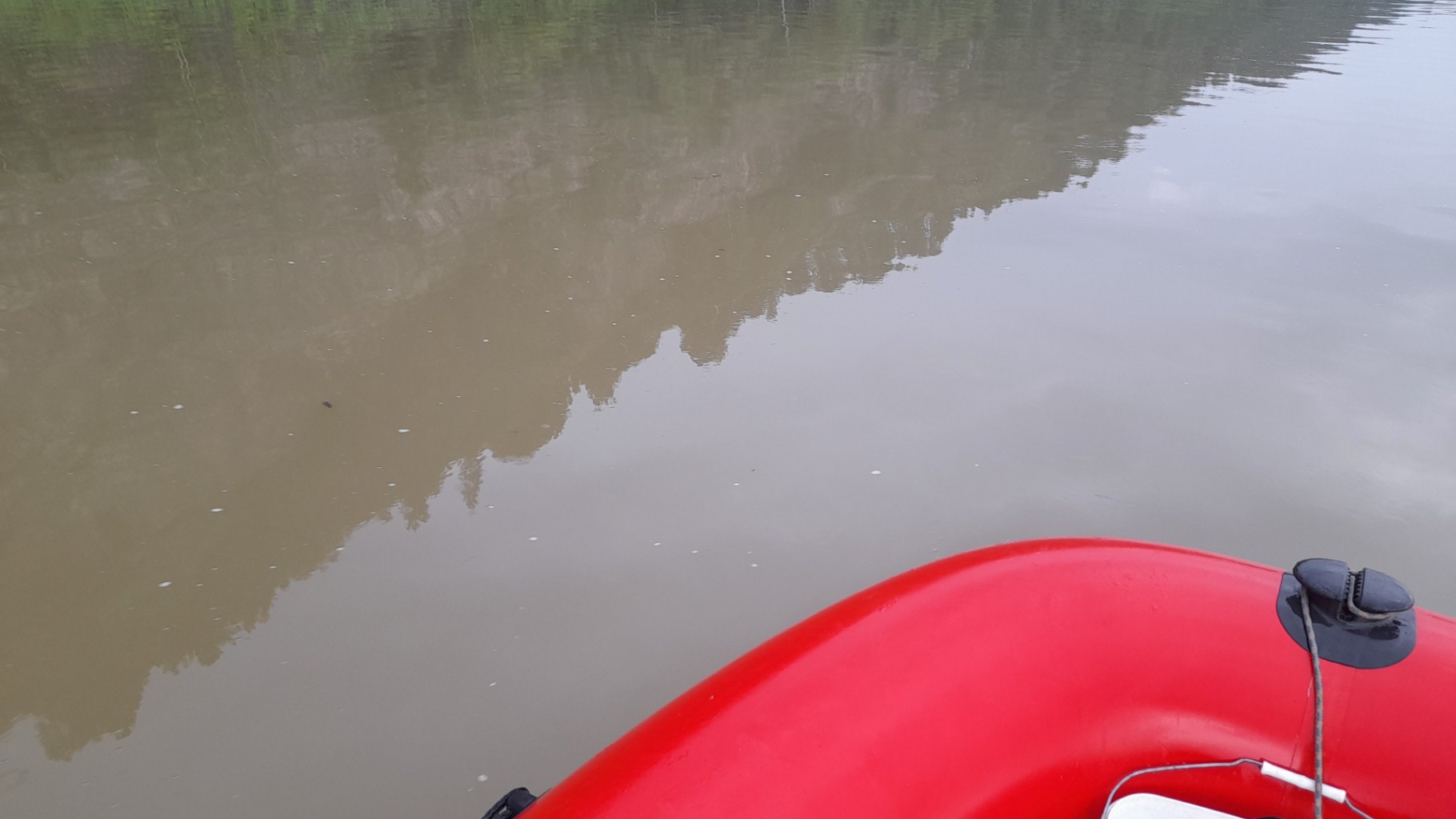 IMG-20240721-WA0002.jpeg