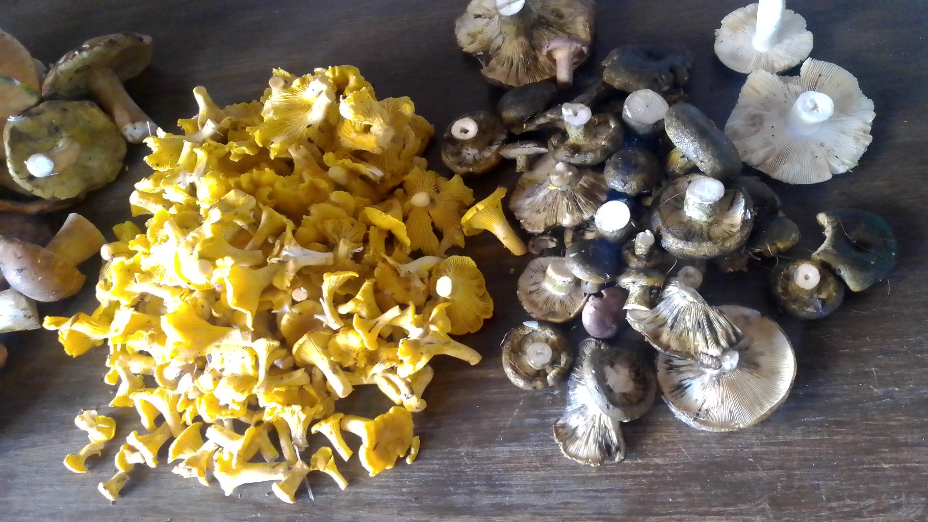 IMG-20240820-WA0000.jpeg