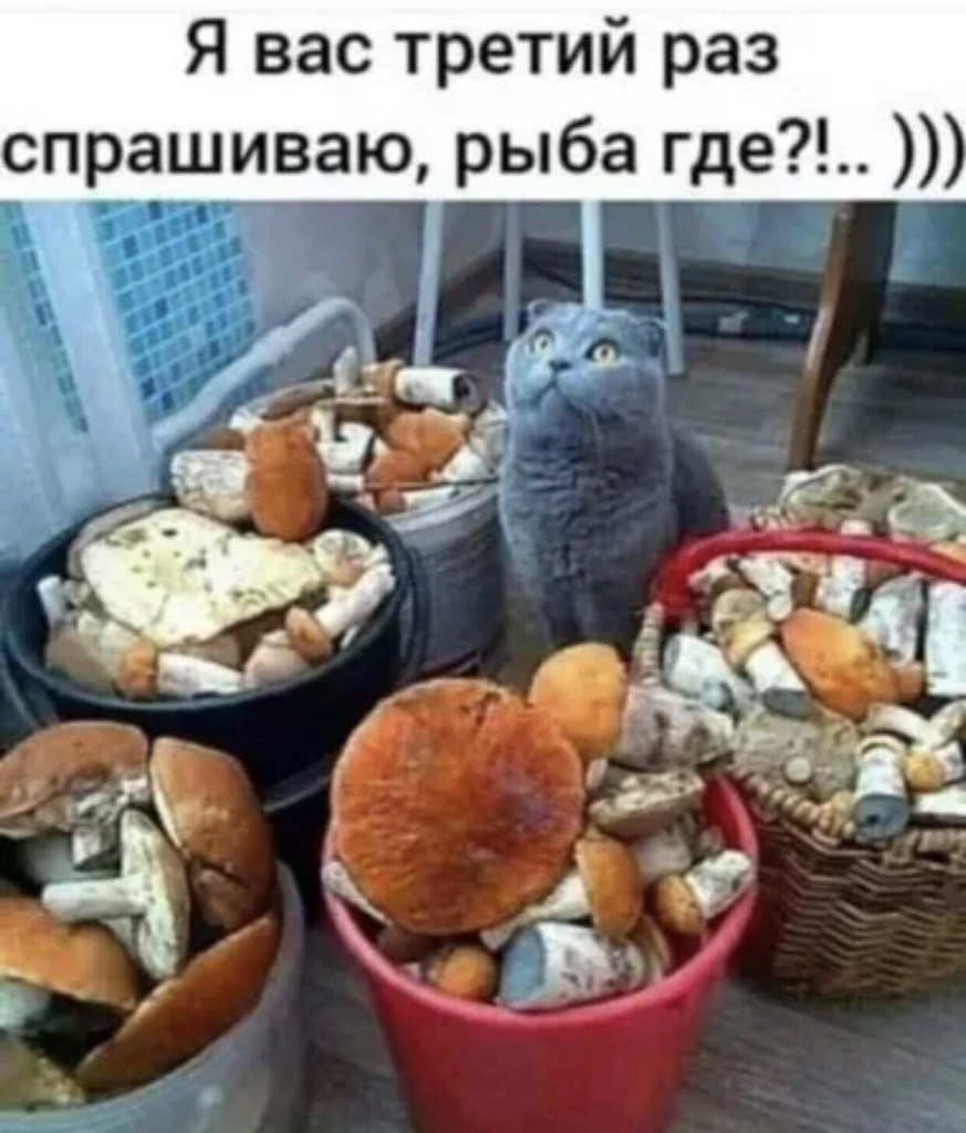 i.jpeg