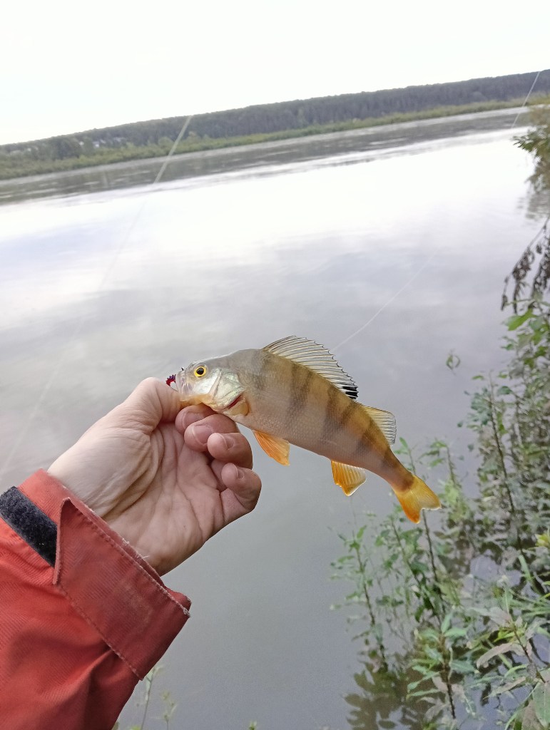 IMG20240910072649.jpg