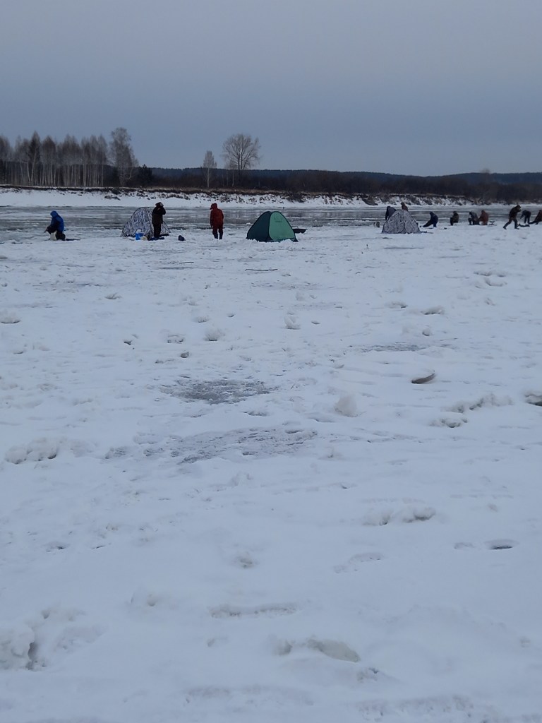 20241123_134835.jpg