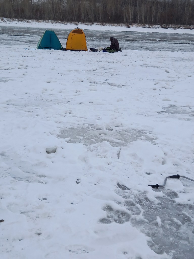 20241123_134841.jpg