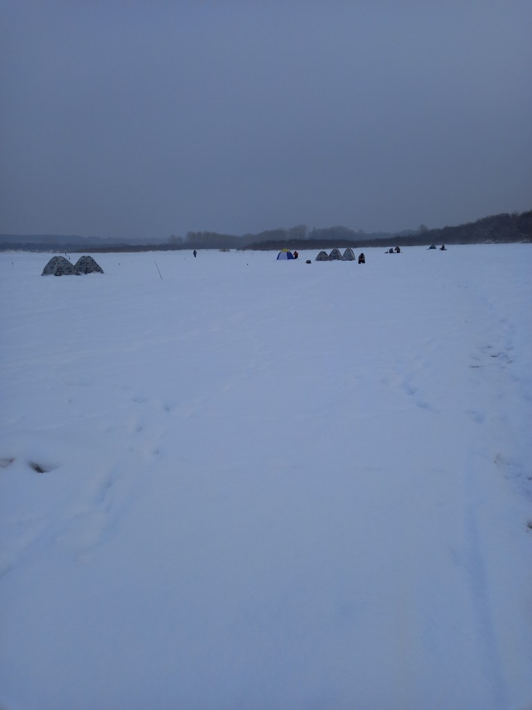 20250108_153800.jpg