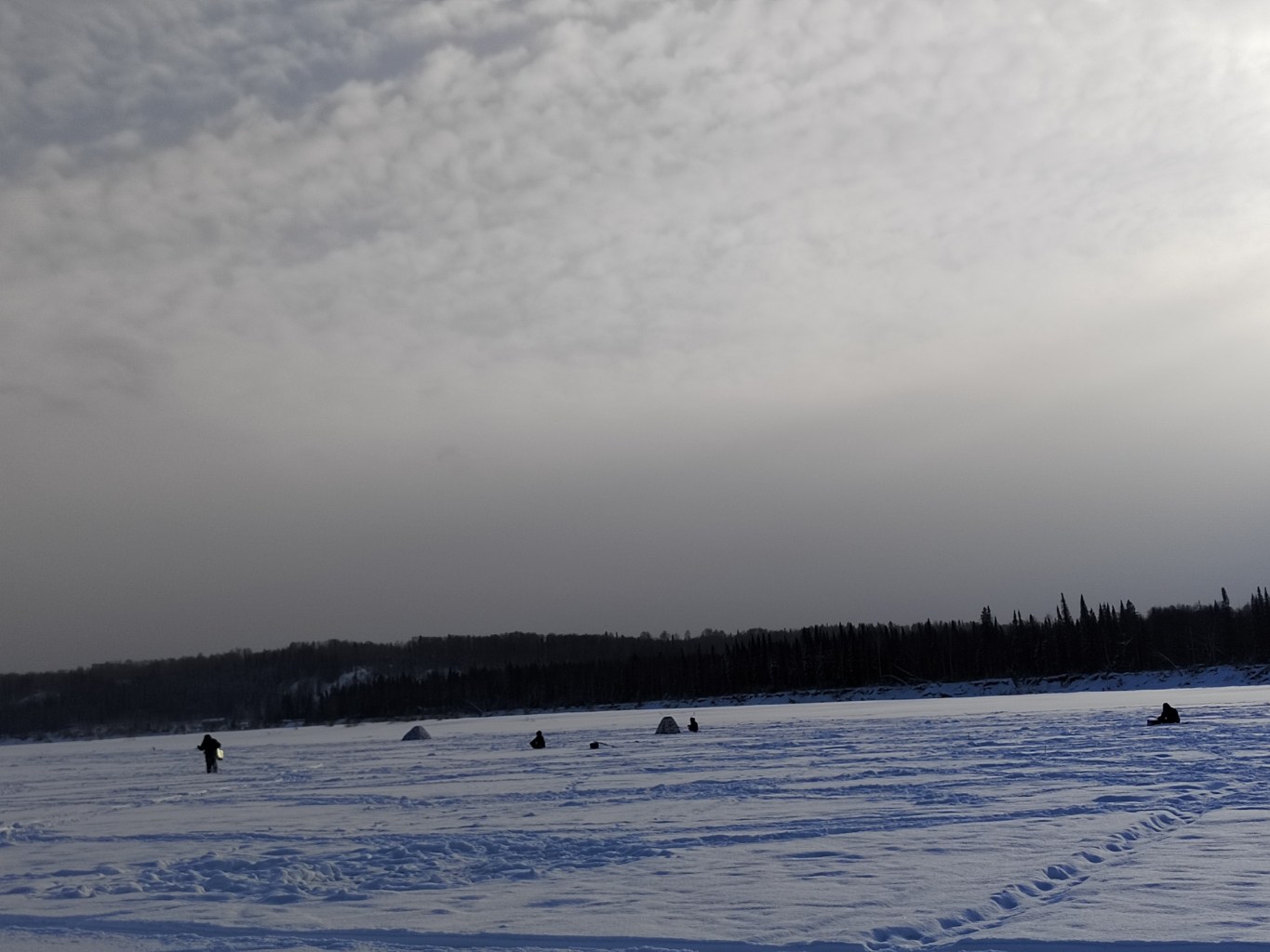 IMG_20250119_141407.jpg