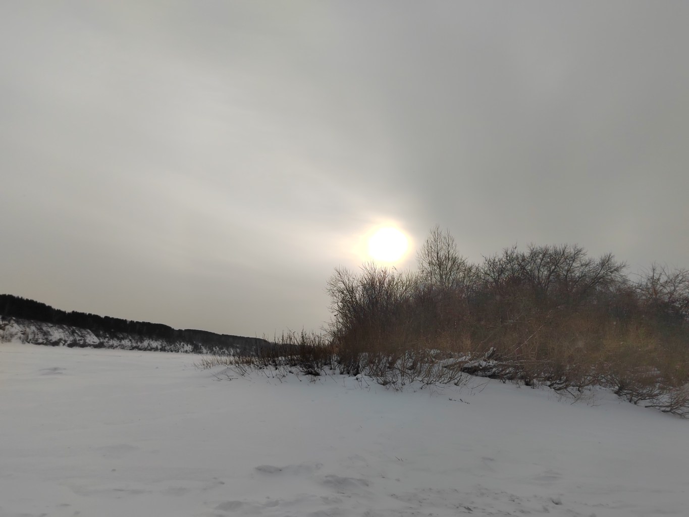IMG_20250125_115308.jpg