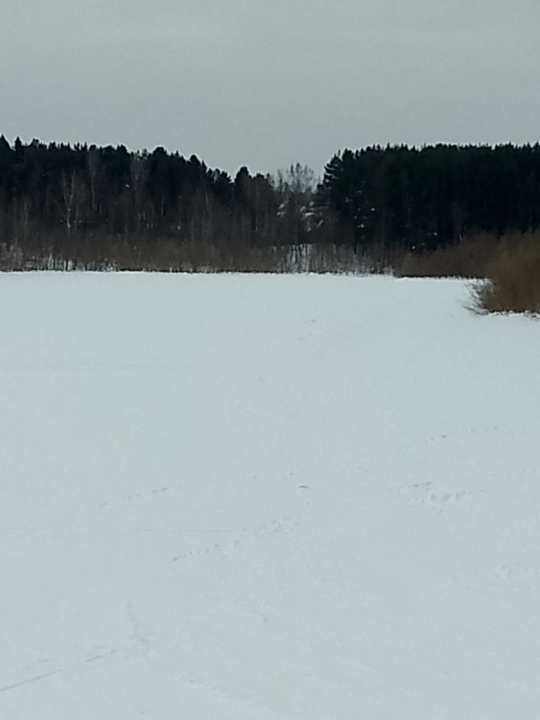 IMG_20250126_135143_156.jpg