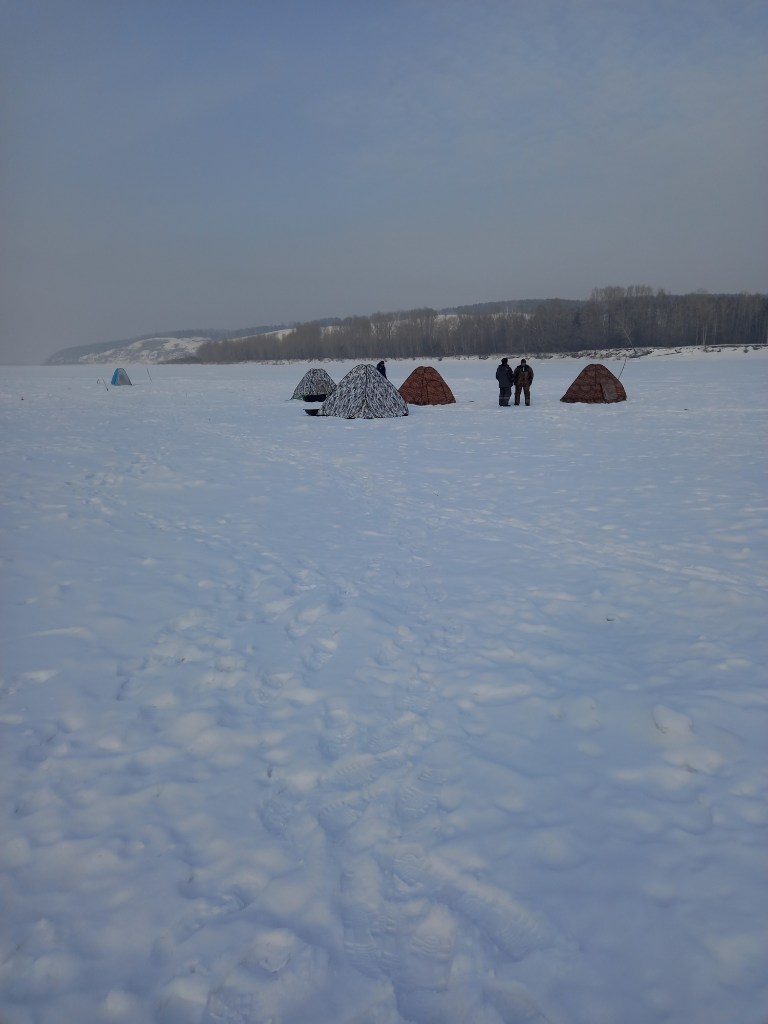 20250131_143037.jpg