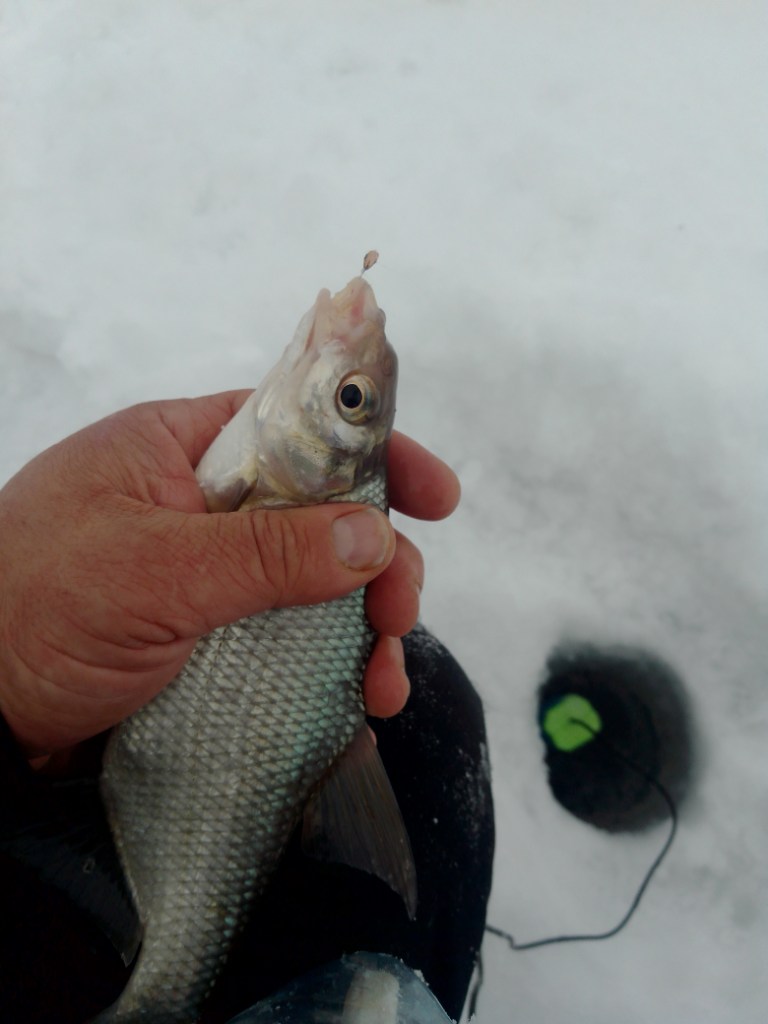 IMG_20250211_095910.jpg