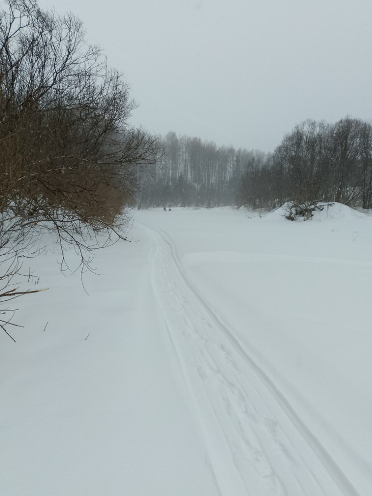 IMG_20250213_111616_972.jpg